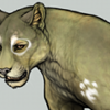 [Jaglion] White Paw Prints